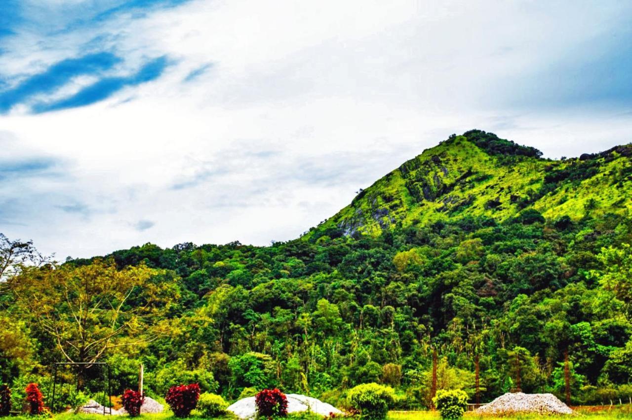 Staymaker Kasargali Homestay Sakleshpur Exterior foto